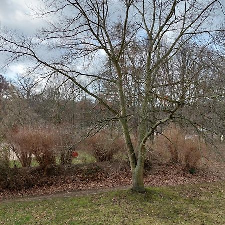Ruheort Lägenhet Zwenkau Exteriör bild